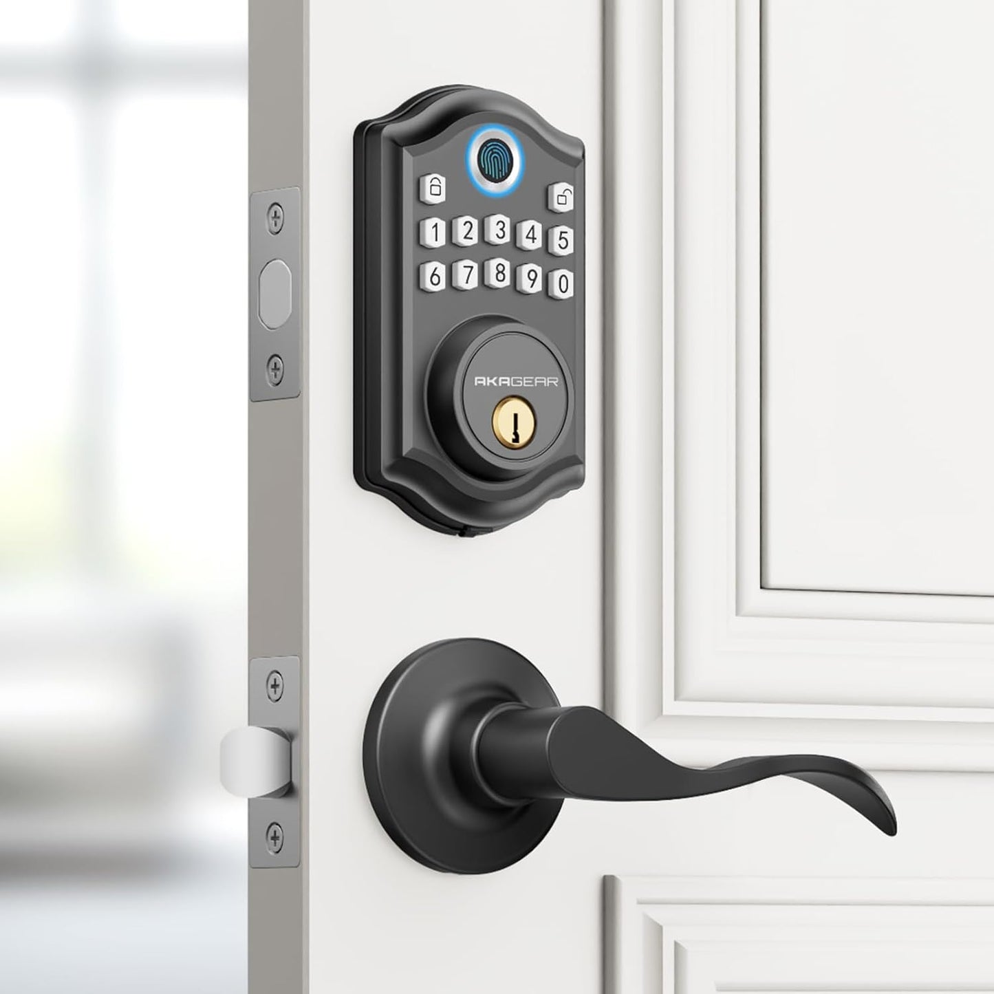 AkaGear DS10 Door Lever Set