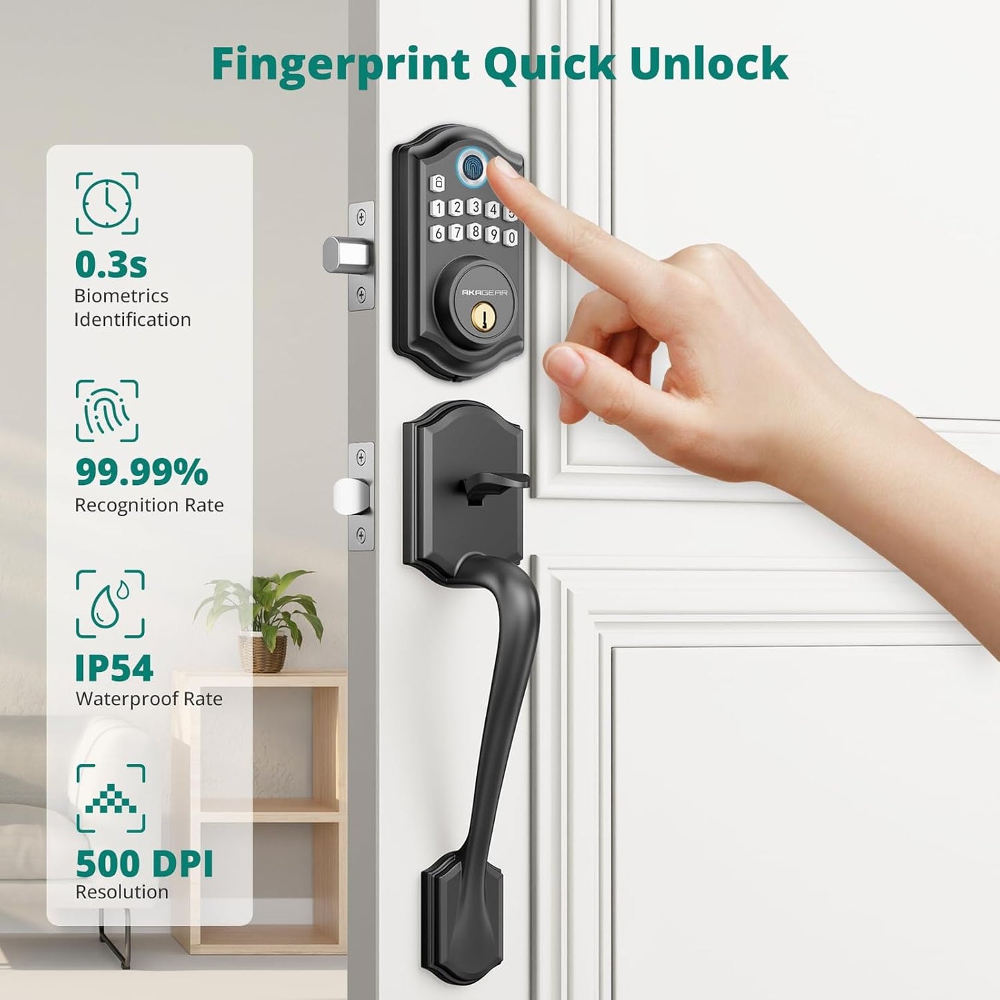 AkaGear DS10 Door Handle Set