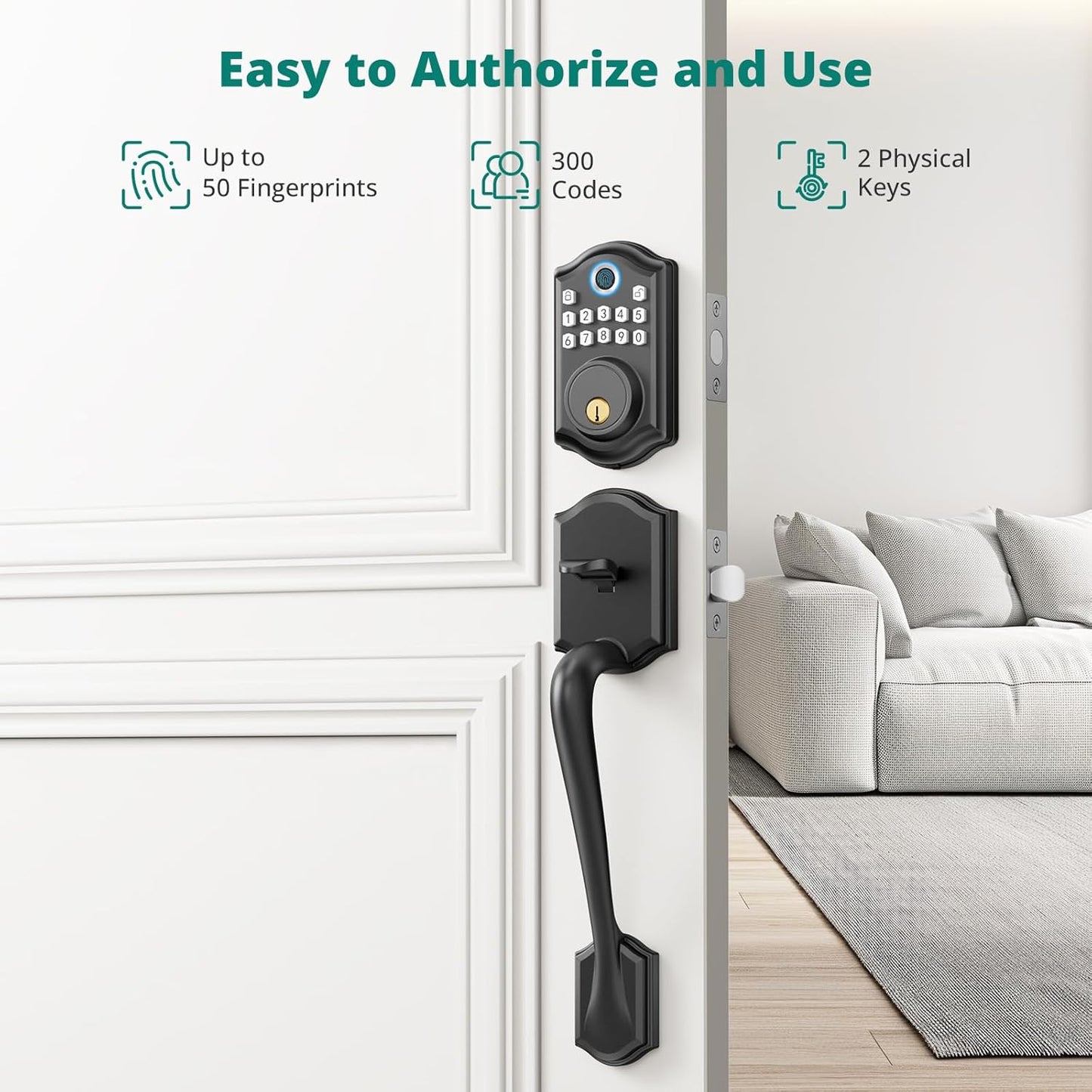 AkaGear DS10 Door Handle Set