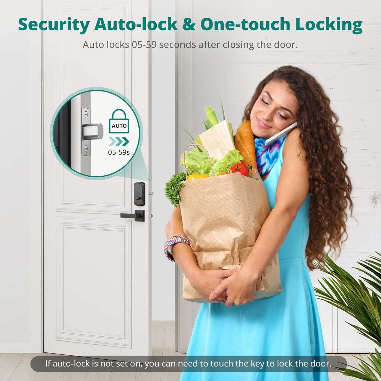 AkaGear DS10 Door Handle Set