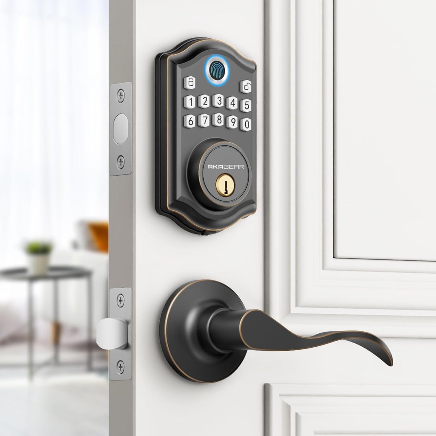AkaGear DS10 Door Lever Set