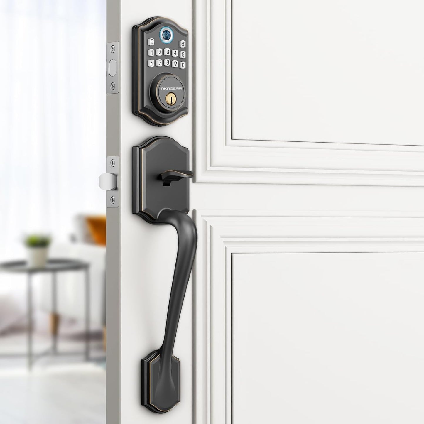 AkaGear DS10 Door Handle Set